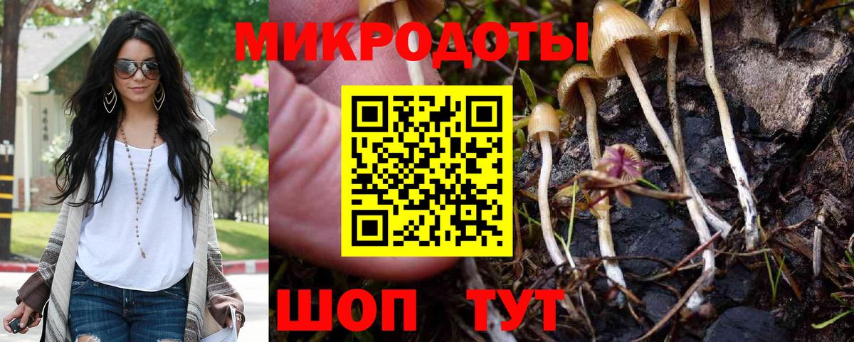 Галлюциногенные грибы GOLDEN TEACHER Азнакаево