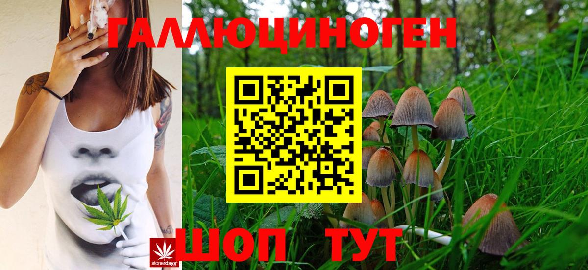 Азнакаево  цены   Вход с VPN  Галлюциногенные грибы GOLDEN TEACHER  Галлюциногенные грибы мухоморы 